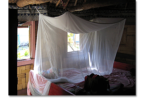 bed with mosquito netting, Fiji