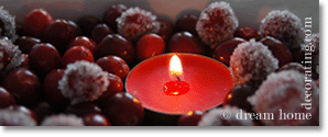 frosted cranberries and tealight