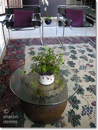 white Arizona living room with black furniture and a purple/grey/green oriental rug