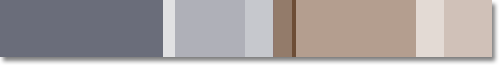 neutral color schemes: warm neutrals (brown), cool neutrals (blue)