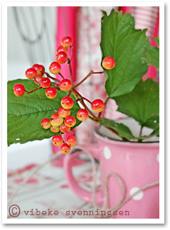 Autumn berries in a pink mug, Norway