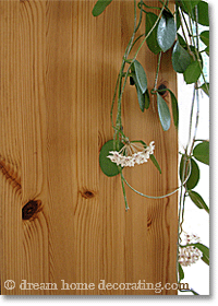 home decorating with the color brown