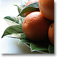 christmas table centerpiece: fruit pyramid