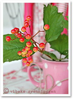 Autumn berries in a pink mug, Norway Autumn berries in a pink mug, Norway