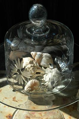 Vintage Cloche & Seashells