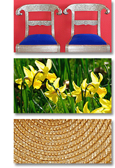 chairs, daffodils, straw basket