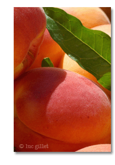 peaches