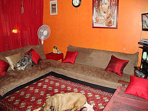 living room in pink, orange, and buff brown