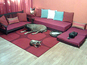 living room seating in pale grayed pink