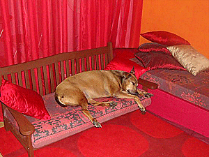 living room in pinks and oranges