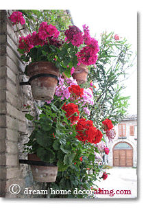 flowers mounted directly on a wall in Tuscany, Italy