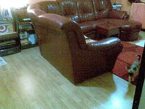 living room corner sofa